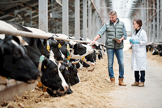 Bürokratieabbau in Landwirtschaft und Agrarwirtschaft: Aus ersten Schritten muss eine Reformagenda werden