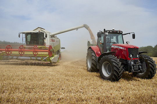 Mähdrescher belädt einen Traktor mit Getreide