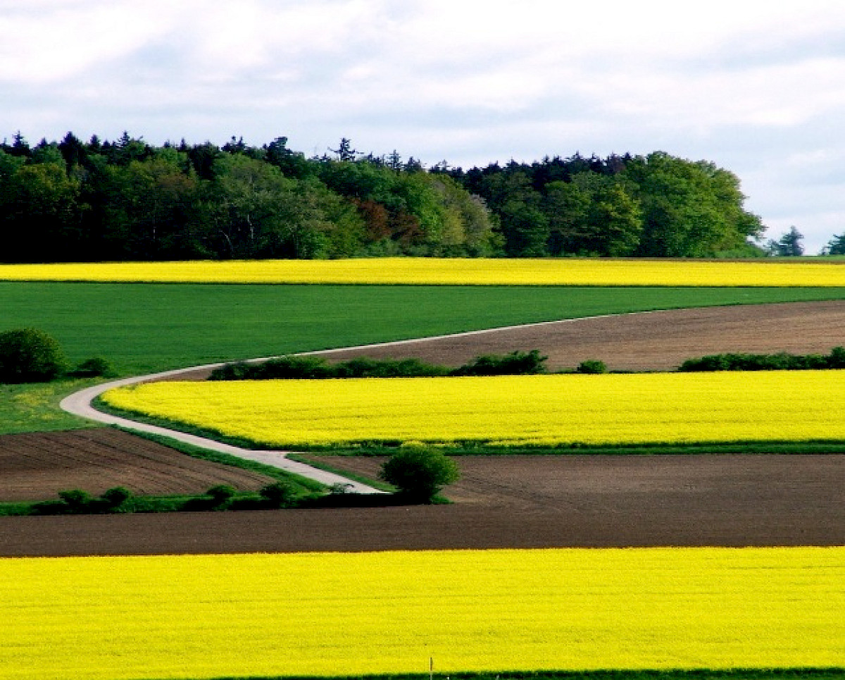 image24.jpg