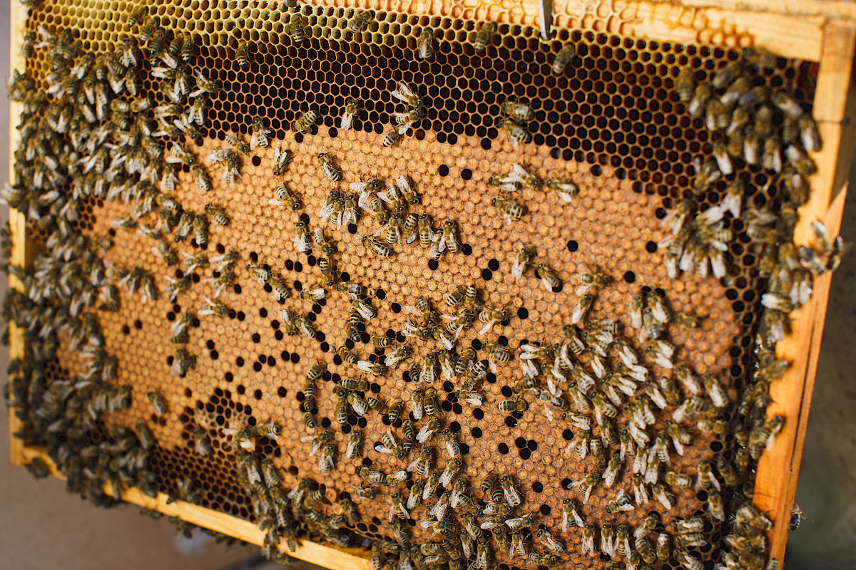 panthermedia_b93414564_5760x3840.jpg