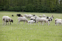 Lokale Produkte, kurze Wege – Nachhaltigkeit per Definition