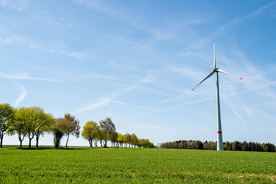 Genossenschaftsverband unterstützt Gemeinsame Erklärung zur Windenergienutzung im Wald in NRW