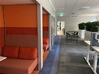 img_0388x.jpg