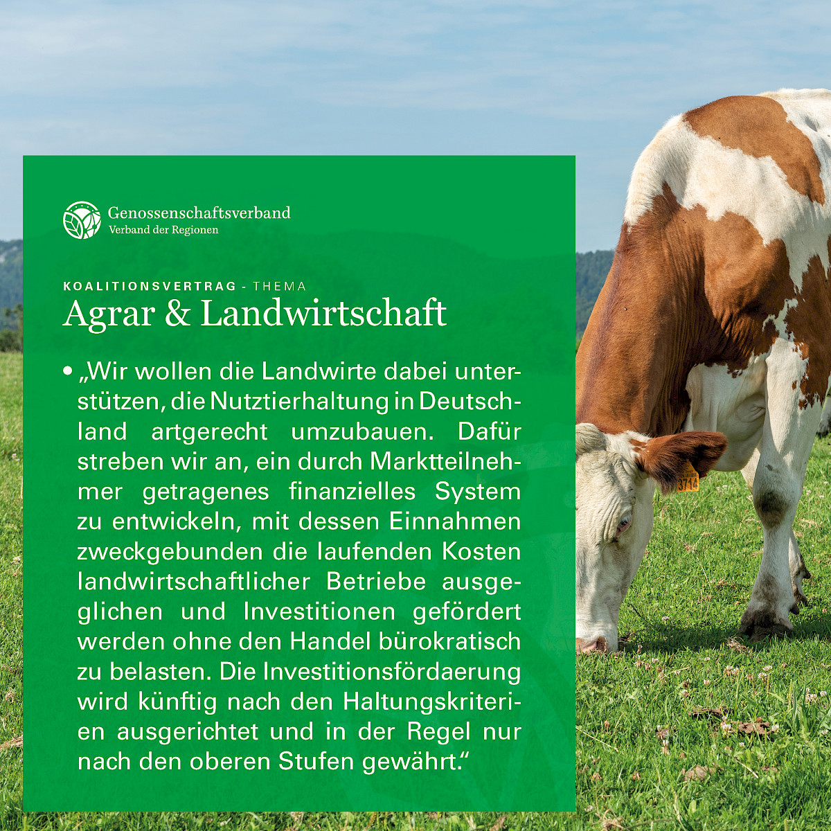 211125_banner_koalitionsvertrag_agrar1.jpg