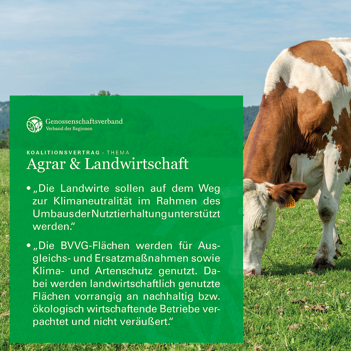211125_banner_koalitionsvertrag_agrar2.jpg