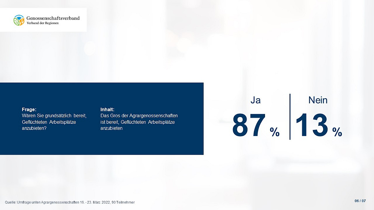 folie6.jpg