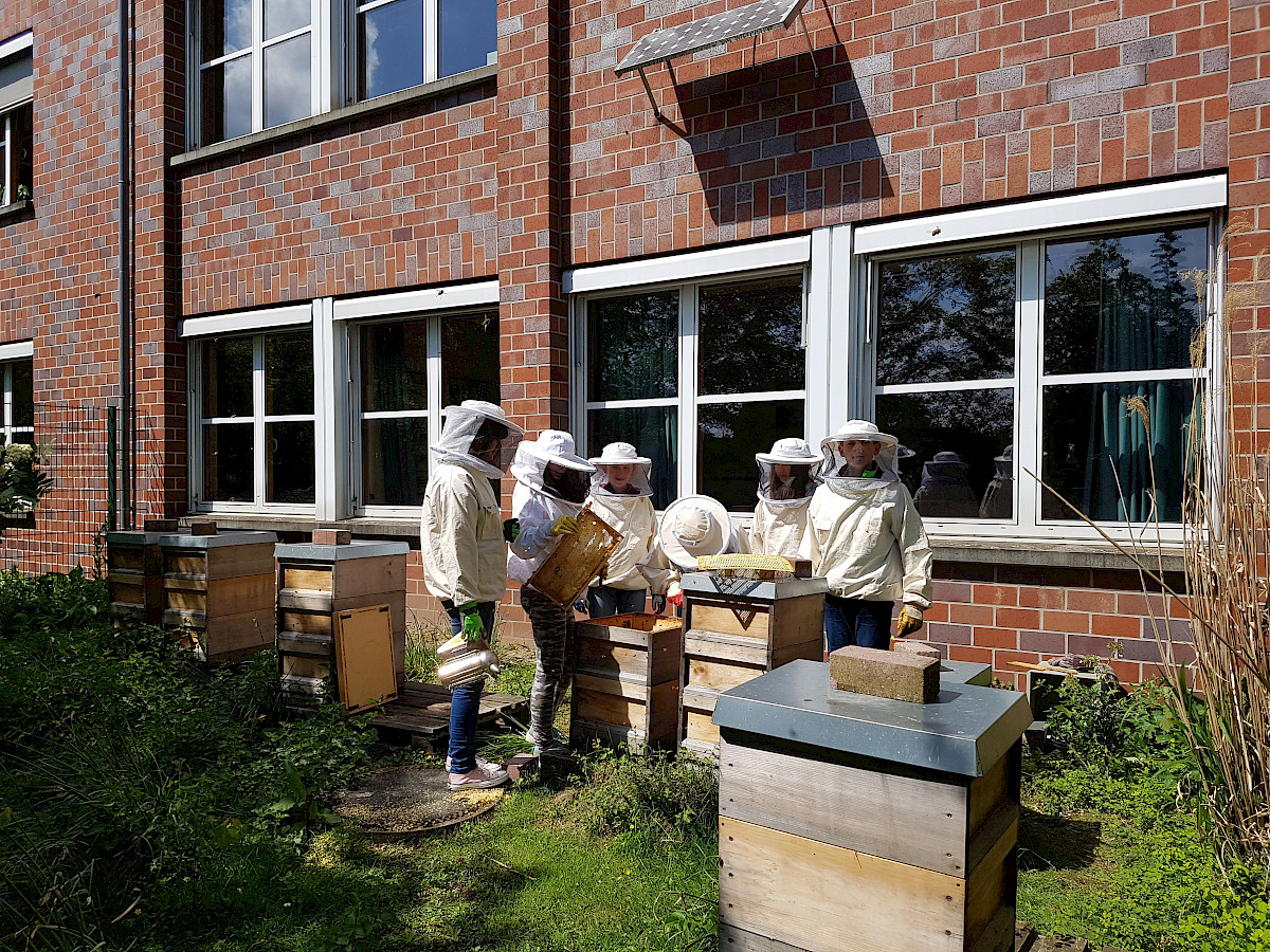 Am Städtischen Gymnasium Straelen versüßt ein ganz besonderes Volk den dortigen Schulalltag. Tausende von Bienen sind das Ein und Alles der Schülergenossenschaft „Honeybee Industries eSG“.