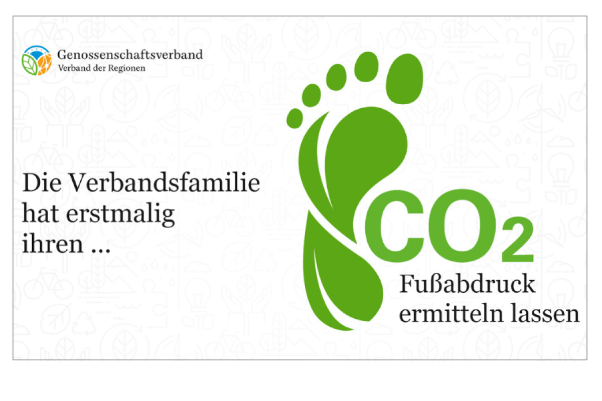 genossenschaftsverband-klimabilanzierung-co2-fussabdruck.png