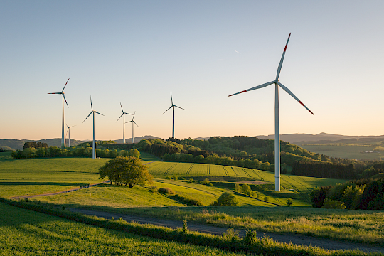 Weiterlesen: News: Energie-, Immobilien- und Versorgungsgenossenschaften