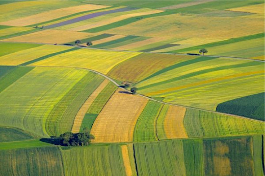 Agrarstrukturgesetze in Thüringen, Brandenburg und Sachsen: Genossenschaftsverband reicht Stellungnahmen ein