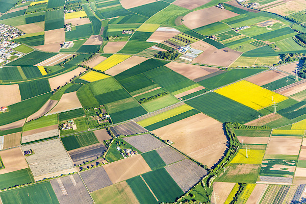 Landwirtschaftliche Forderungen zur Bundestagswahl
