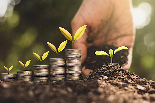 Newsletter Energie-, Immobilien- und Versorgungsgenossenschaften – Ausgabe 3/2025
