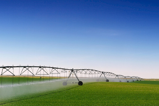 Newsletter: Ländliche Genossenschaften Ausgabe 05/25