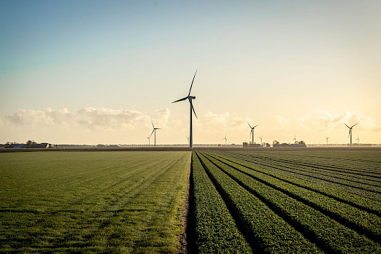 Newsletter Energie-, Immobilien- und Versorgungsgenossenschaften – Ausgabe 5/2025