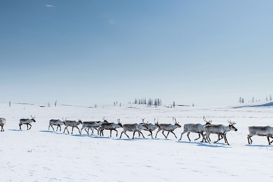 Newsletter Ausgabe 07/2025