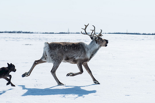 Newsletter: Ländliche Genossenschaften Ausgabe 06/25