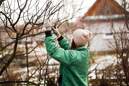 Newsletter Fachvereinigung Gewerbliche Genossenschaften Ausgabe 06/2025