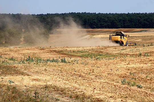 Newsletter Ausgabe 01/2026