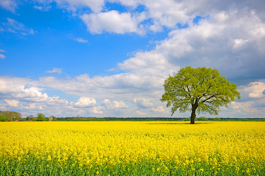 Newsletter Ausgabe 02/2026