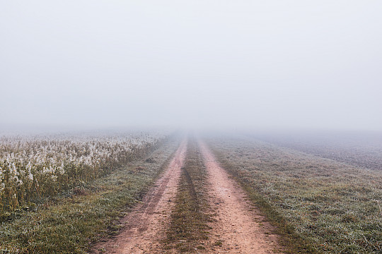 Newsletter: Ländliche Genossenschaften Ausgabe 02/26