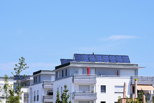 Newsletter Energie-, Immobilien- und Versorgungsgenossenschaften – Ausgabe 2/2026